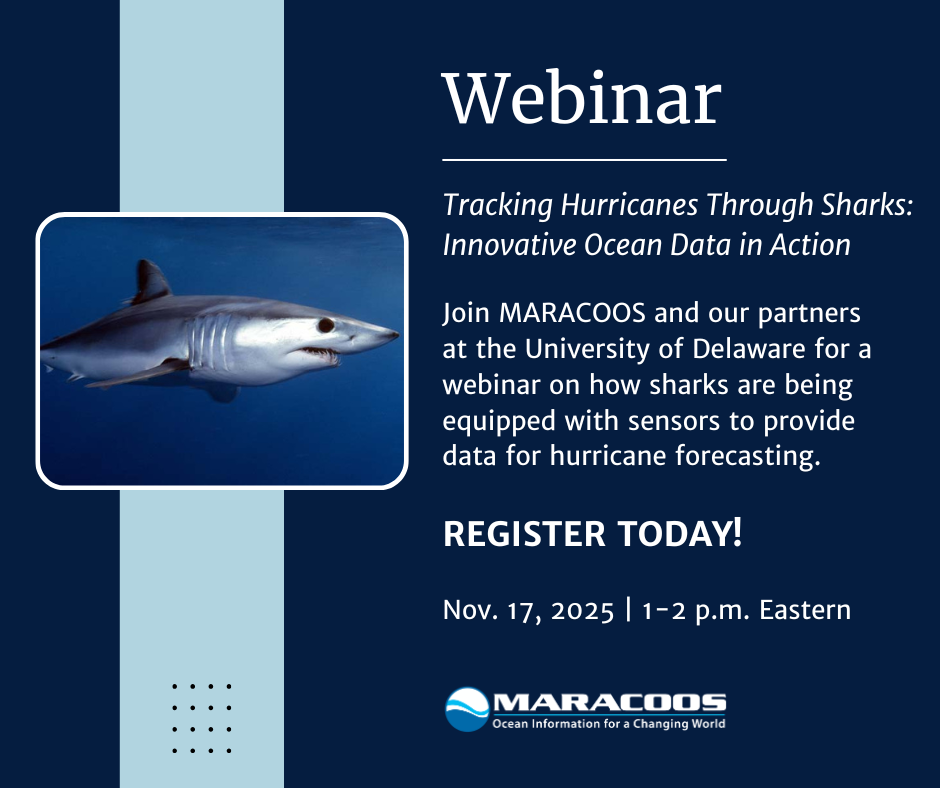 Webinar: Tracking Hurricanes Through Sharks: Innovative Ocean Data in Action