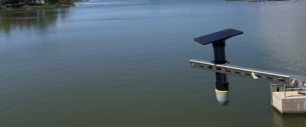 Water Levels, Waves & Webcams