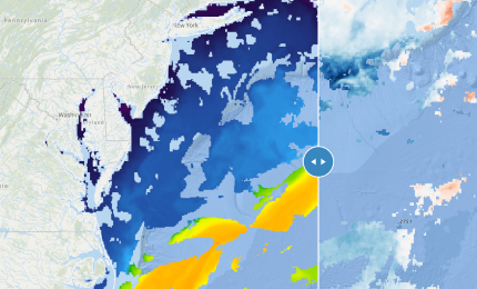 Water Temperature Anomaly