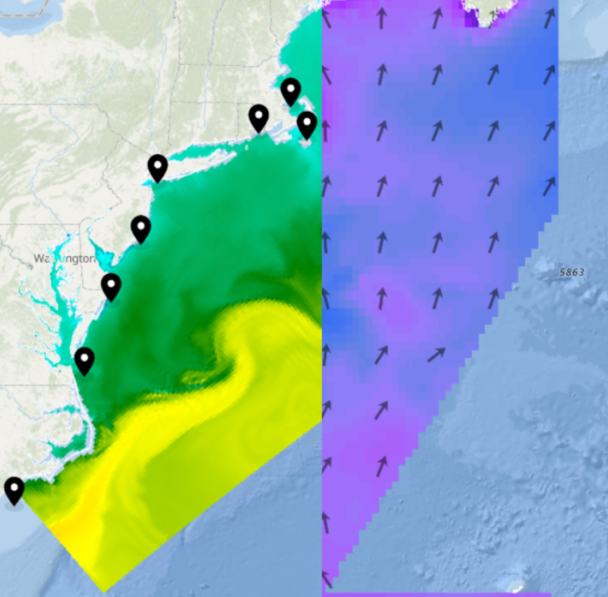 Beachgoers Mid-Atlantic Region
