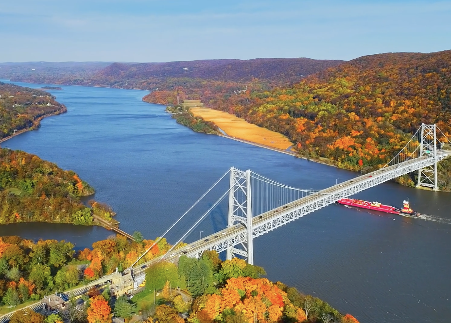 The Value of Near Real-Time Visual Data for Maritime Traffic