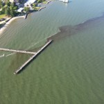 Mobilizing a Regional HAB Network for the Chesapeake Bay